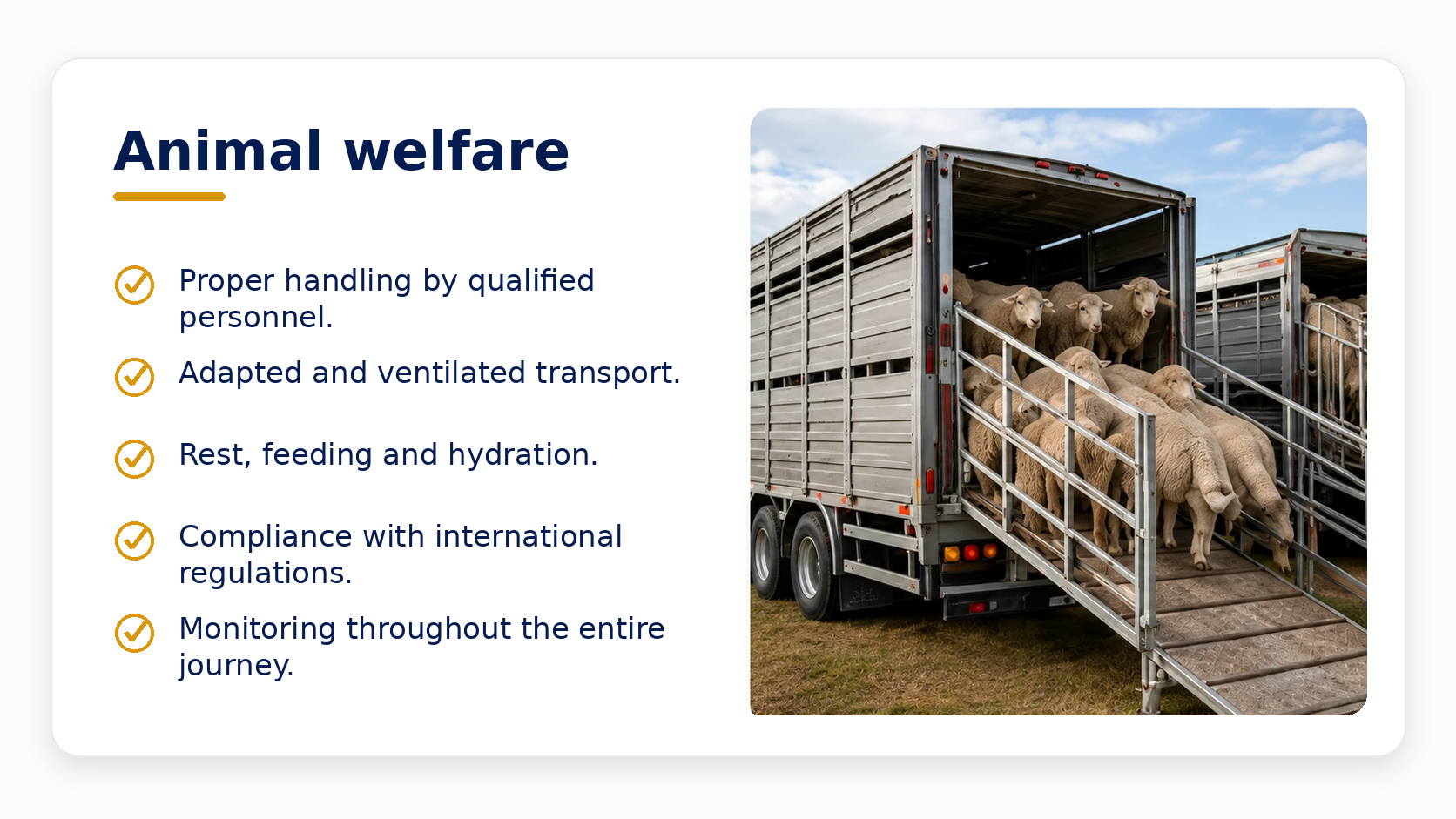 animal_welfare_english_no_black