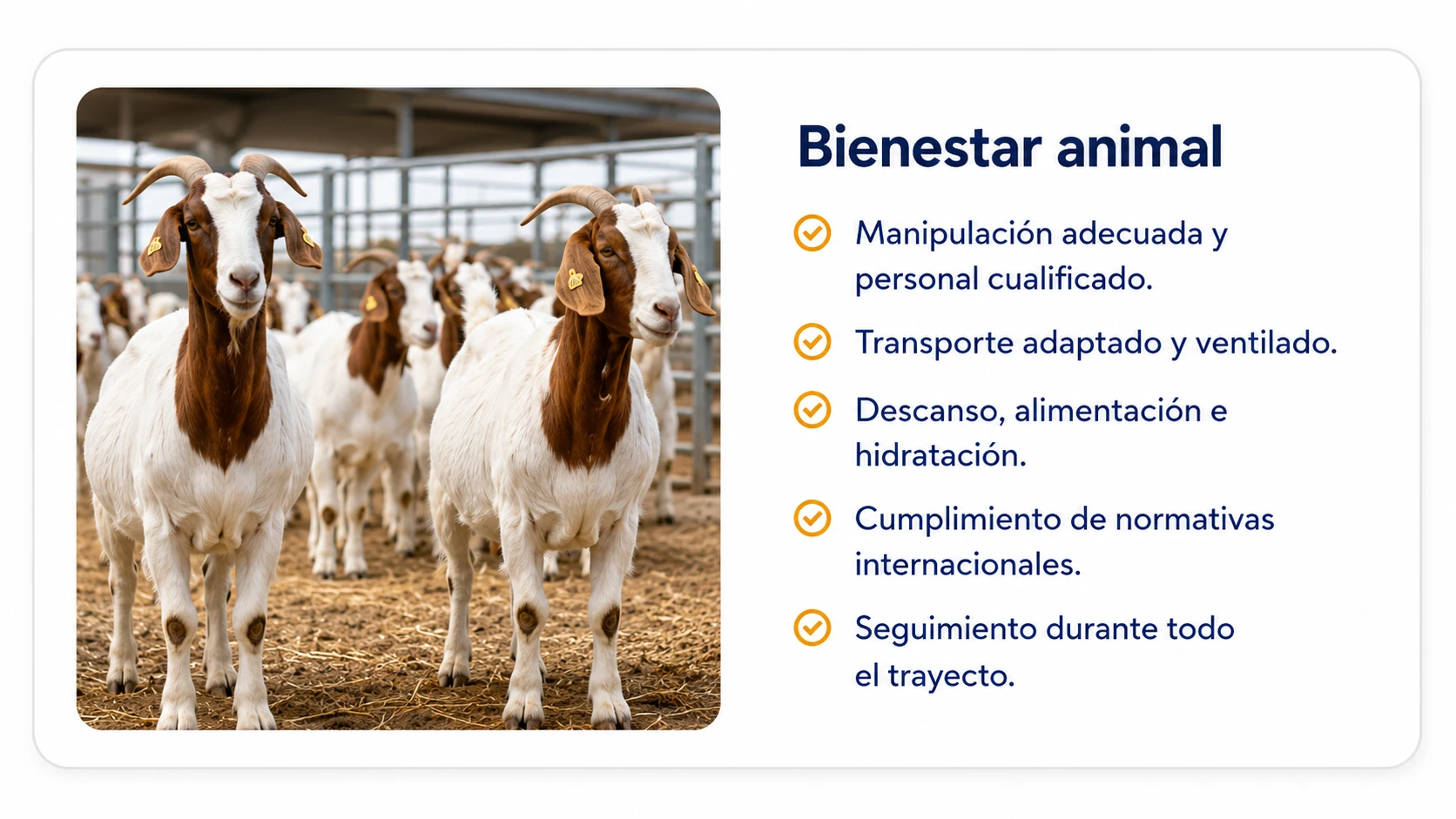 bien-cap