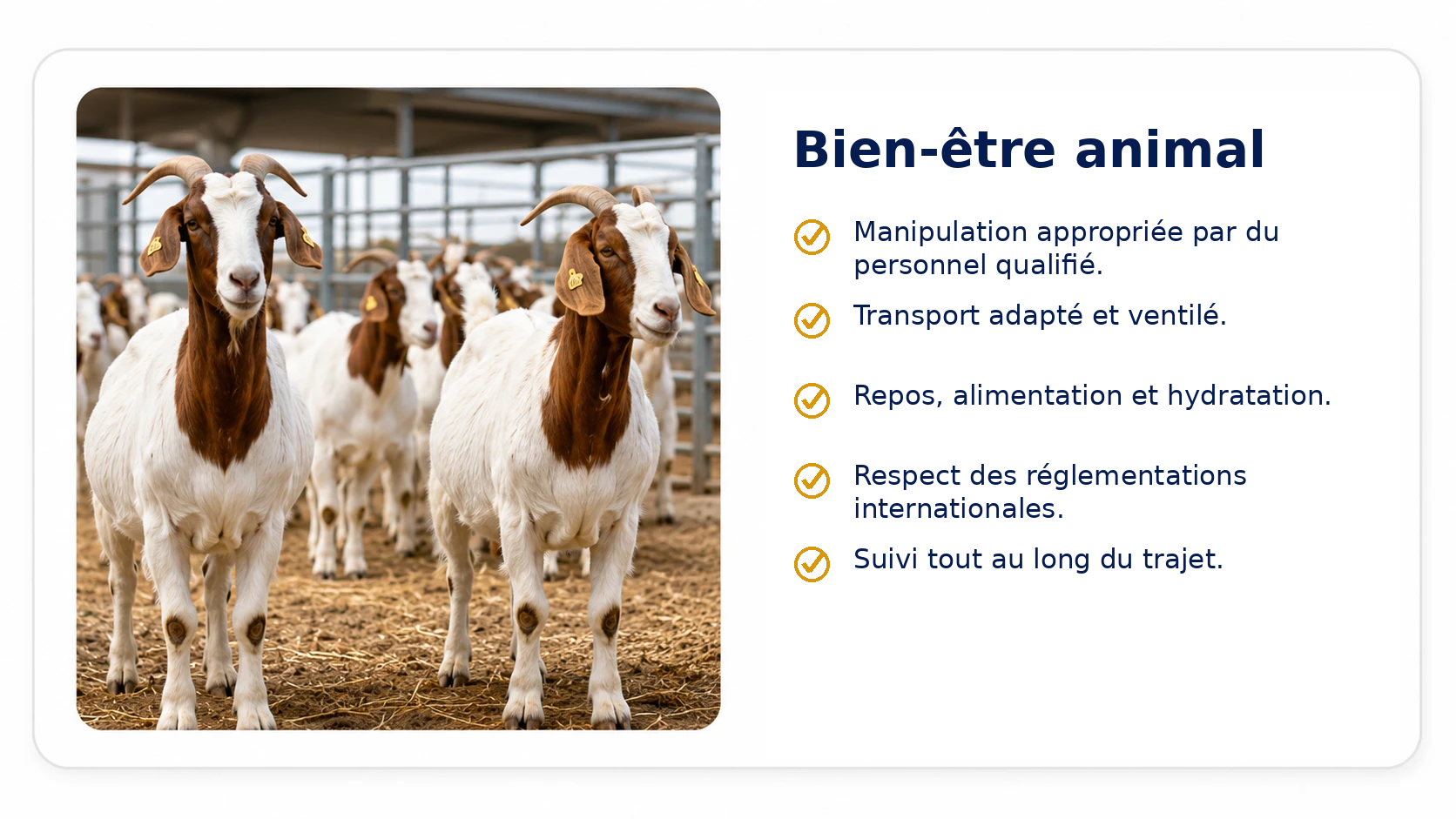 bien_etre_animal_chevres_francais