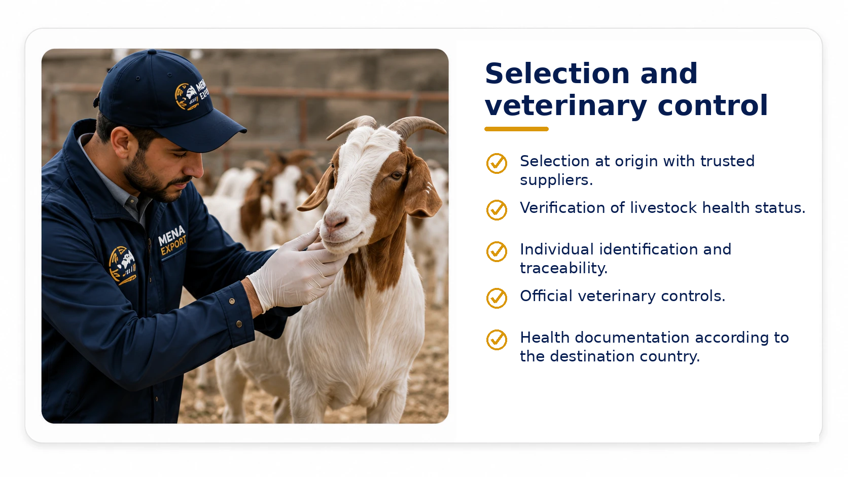 selection_veterinary_control_no_double_english