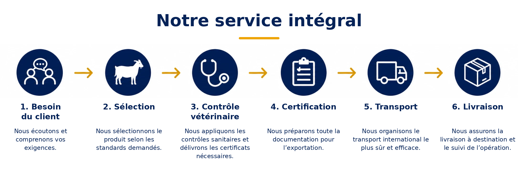 servicio_integral_mena_francais