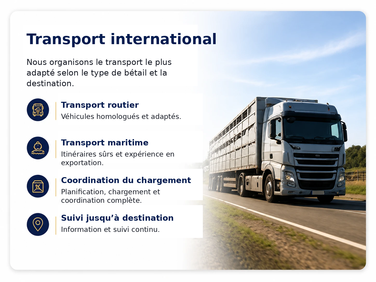 transport_international_francais_texto_grande