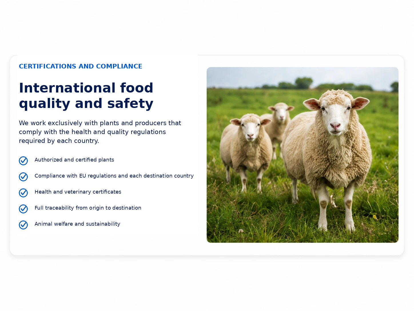 international_food_quality_safety_english
