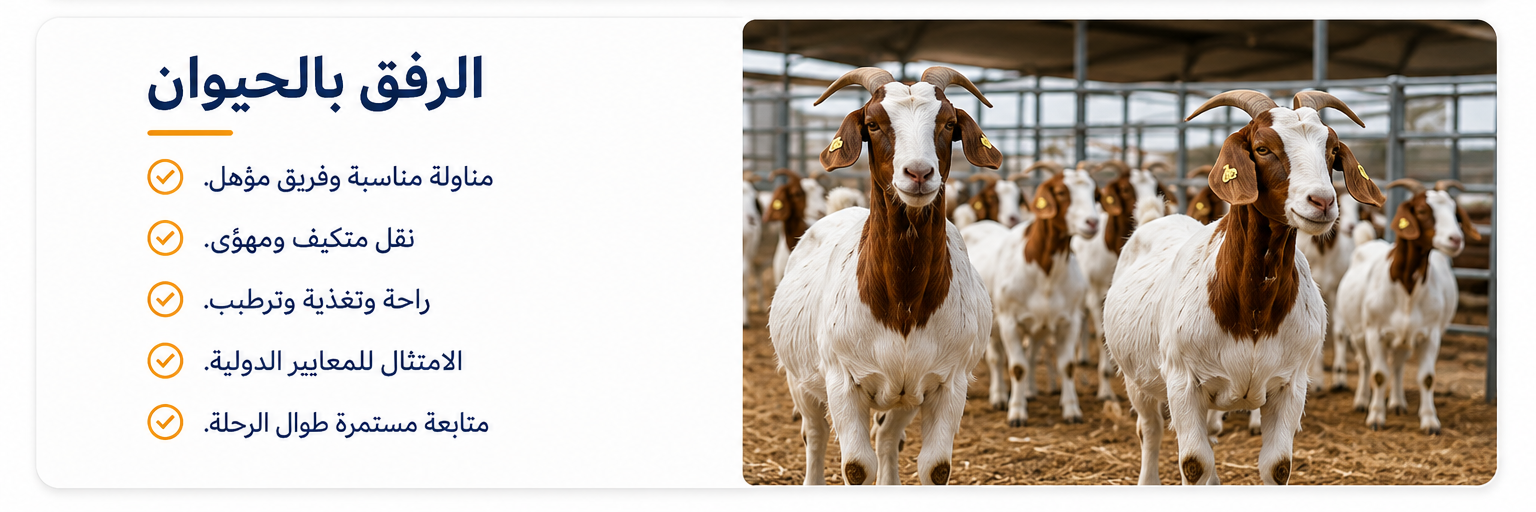 mena_export_arabe_bienestar_animal_caprino