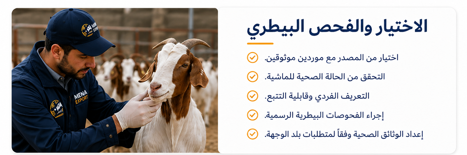 mena_export_arabe_seleccion_control_veterinario_caprino